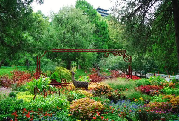 北京市屬公園發(fā)布40余處“小而美”賞秋花境